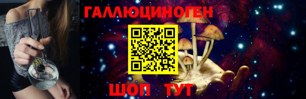 Мурино  купить  цена  Вход с VPN  Галлюциногенные грибы GOLDEN TEACHER 